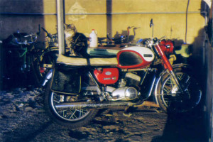 This was the bike I rode to Geelong and to which I fitted my very first sidecar.  The bike was a Yamaha YDS3 250cc two-stroke twin.  My cat wanted to ride pillion!